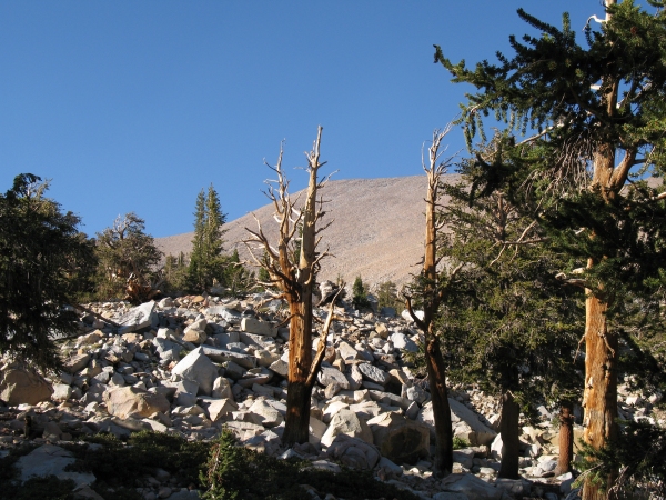 Mt Kaweah